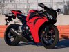 blc nose.jpg