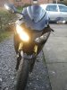 Fireblade sale pics 006.jpg
