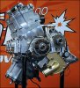 BSL500_2.jpg