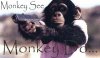 blurb_MonkeySeeMonkeyDo_20080812.jpg