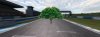 tree.jpg