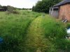 grass.jpg