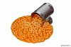 fotolia_16477872.jpg