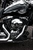 _7009591-Edit.jpg