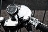 _7009595-Edit.jpg