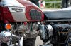 _7009601-Edit.jpg