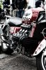 _7009628-Edit.jpg