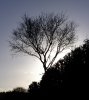 DSCF6123.jpg