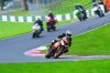 DSC_7872.jpg