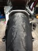 Pirelli Rosa Corsa.jpg