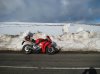 Dales Run 13-03-2010 005.jpg