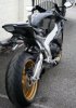 RR9 Tail.jpg