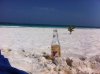 IMG_1181.jpg