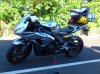 DSC_0138.jpg