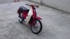 IMAG0489.jpg
