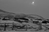 IMG_1704cropmono.jpg