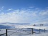 IMG_1100.jpg