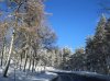 IMG_1101.jpg