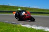 DSC_6004.JPG