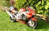 Fireblade 001 Cropped.jpg