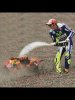 Rossi.jpg