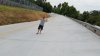 20150804_134050.jpg