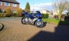 9586d1364663714-blade-easter-2-jpg (1).jpeg