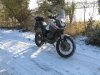 my work horse.jpg