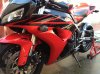 iphonepics 043.jpg