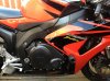 iphonepics 049.jpg