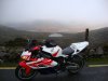 dsc01613or.jpg
