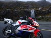 dsc01616fo.jpg