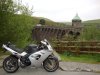dsc01462di.jpg