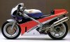 rc30_1.jpg