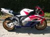 CBR Fireblade.jpg