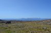 DSC_0147.JPG