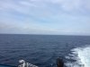 IMG_1146.JPG
