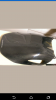 Screenshot_20161105-101405.png