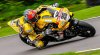_16D2201-2.jpg