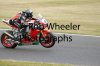 IMG_5813copy.jpg