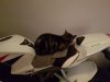 20171015_185341.jpg