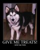TREATS (2).jpg