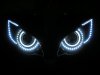 Fireblade Angel Eyes.JPG