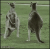 XE5wQyg.gif