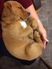 IMG-20181003-WA0004.jpg