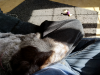 sofa_cuddles.png