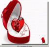 9E3F6239-98C9-4A51-A338-DE18B71C4E8F.gif