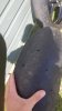 20190603_135435.jpg