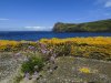 Port Erin.jpg