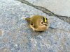 Goldcrest birdie.jpg